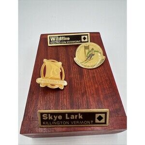 Vintage Set Of 4 Ski Resort Enamel Pins Killington Vermont Wildfire Skye Lark